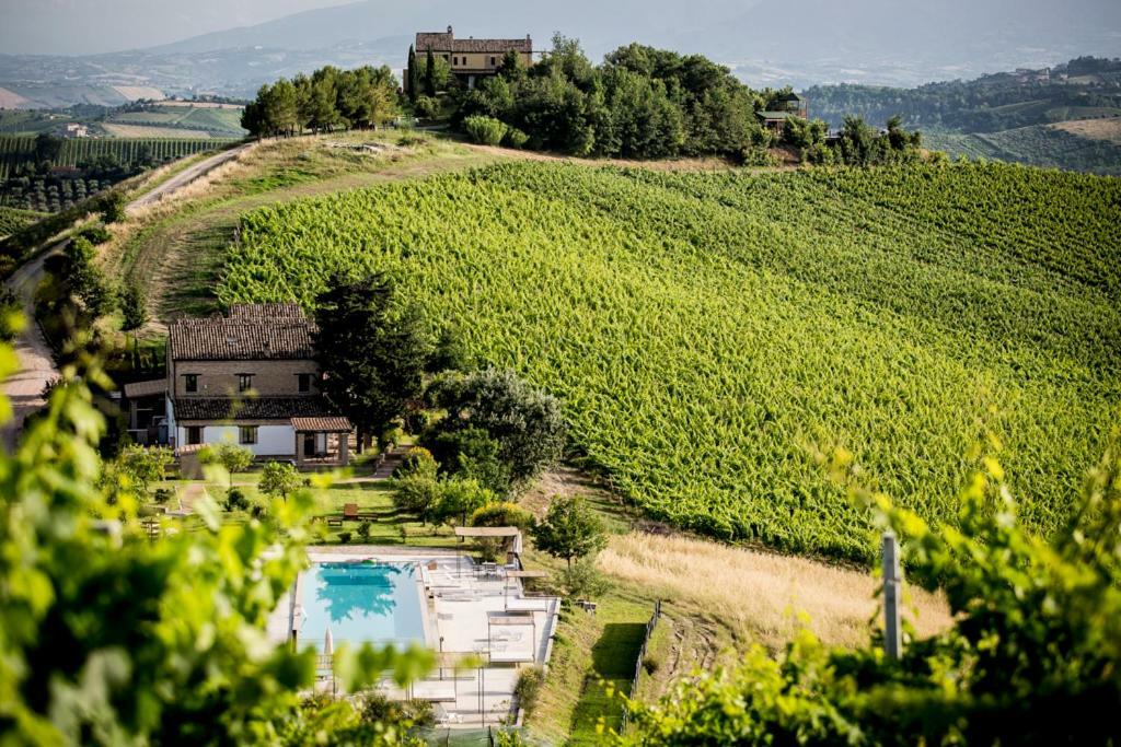 Casali Costadoro Acquaviva Picena Extérieur photo