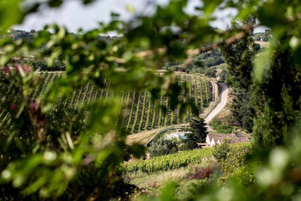 Casali Costadoro Acquaviva Picena Extérieur photo